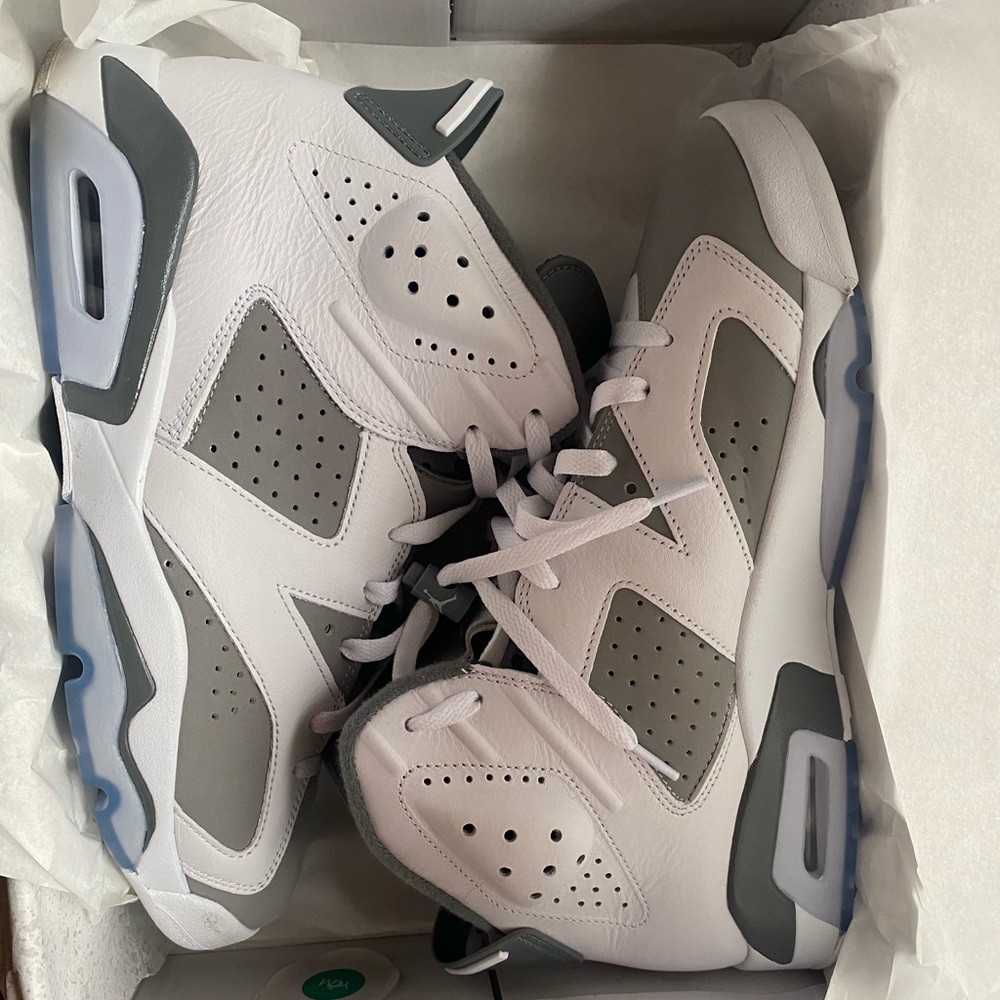 Air jordan 6s
